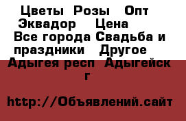 Цветы. Розы.  Опт.  Эквадор. › Цена ­ 50 - Все города Свадьба и праздники » Другое   . Адыгея респ.,Адыгейск г.